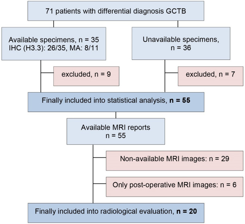 Surgical and radiological outcomes of giant cell tumor of the bone: prognostic value of Campanacci grading and selective use of denosumab.