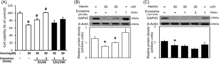 A double-edged effect of hypoxia on astrocyte-derived exosome releases.