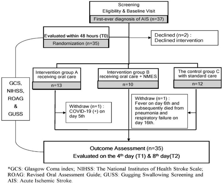 Effects of oral care combined with neuromuscular electrical stimulation on clinical outcomes in the acute phase of acute ischemic stroke: a pilot randomized controlled trial.