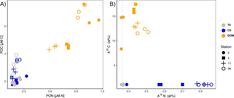 Organic metabolite uptake by diazotrophs in the North Pacific Ocean.