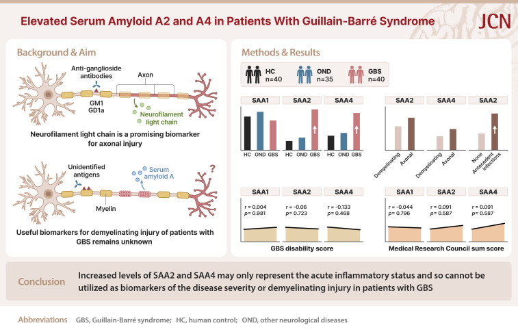 Elevated Serum Amyloid A2 and A4 in Patients With Guillain-Barré Syndrome.