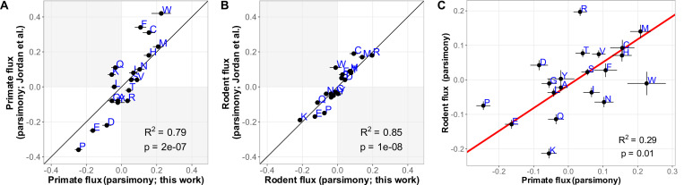 The effectiveness of selection in a species affects the direction of amino acid frequency evolution.