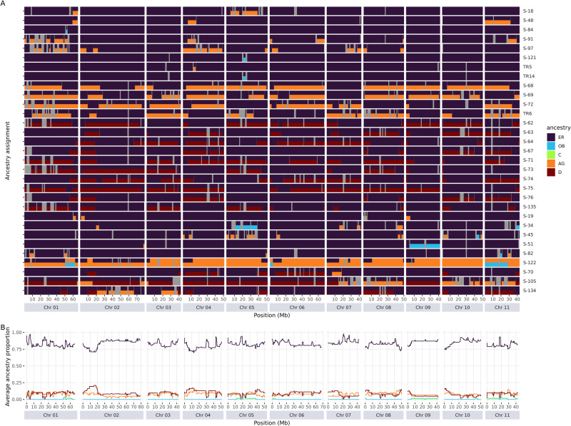Out of Africa: The genomic footprints of Vietnamese Robusta coffee.
