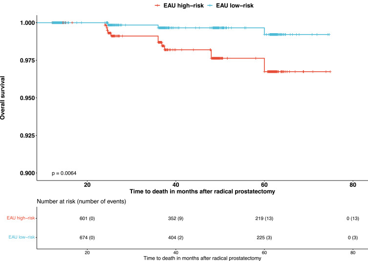 The Prognostic Value of Perioperative Factors on Biochemical Recurrence in Patients Undergoing Radical Prostatectomy.