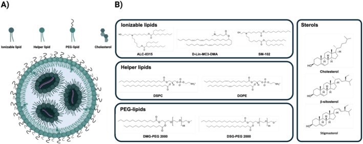 Therapeutic Application of mRNA for Genetic Diseases.