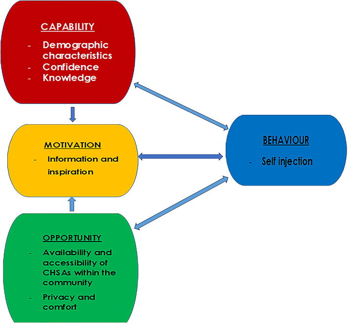 Behavioral Drivers Influencing Women's Decision to Use Self-Injectable Contraception Provided by Community Health Surveillance Assistants in Rural Malawi.