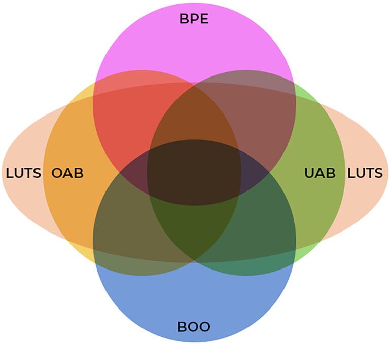 Neurophysiology of Micturition: a Narrative Review on Preventing Mismanagement.