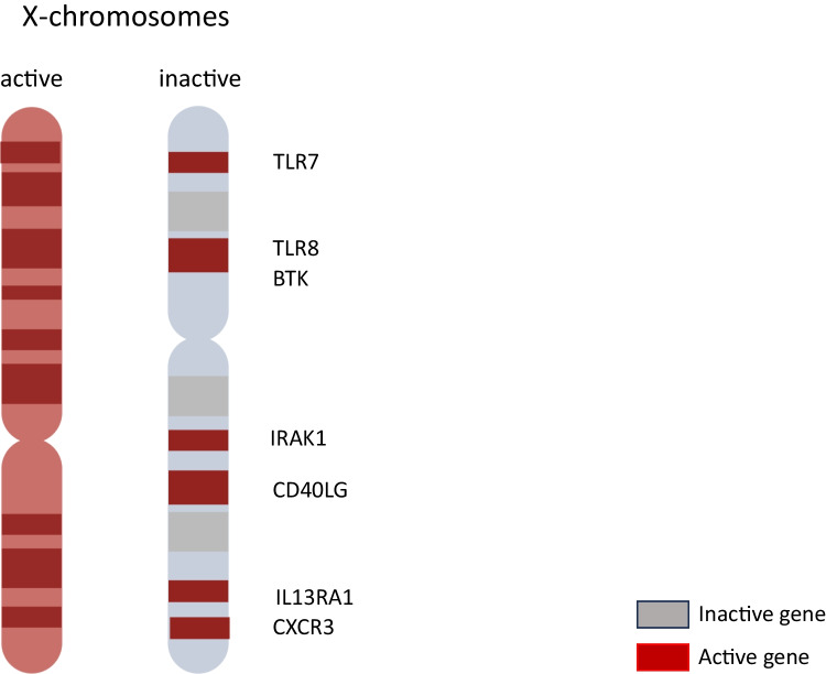 Sex Bias in Systemic Sclerosis: from Clinical to Immunological Differences.