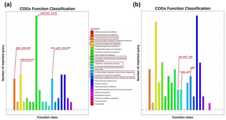 Unraveling the Central Role of Global Regulator PprI in <i>Deinococcus radiodurans</i> Through Label-Free Quantitative Proteomics.