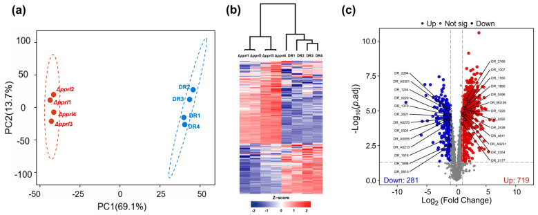 Unraveling the Central Role of Global Regulator PprI in <i>Deinococcus radiodurans</i> Through Label-Free Quantitative Proteomics.