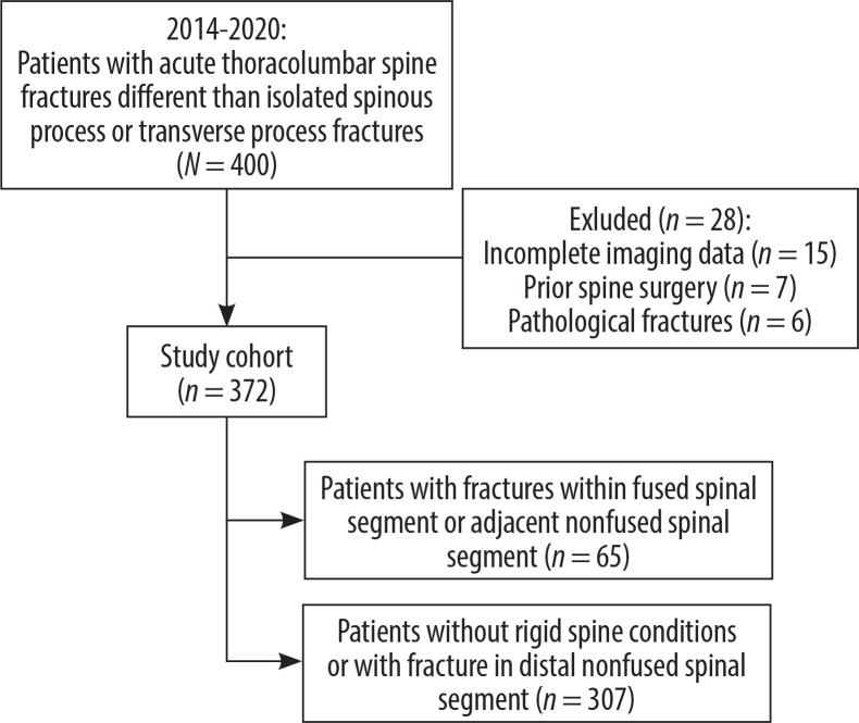 Acute thoracolumbar fractures in patients with a rigid spine: a computed tomography study.