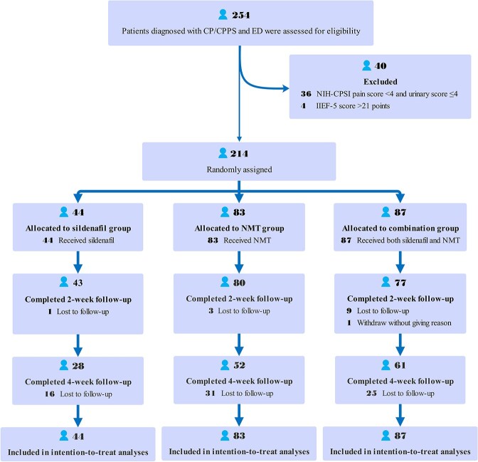 The efficacy of combination therapy with Ningmitai capsule and sildenafil in men with chronic prostatitis/chronic pelvic pain syndrome and erectile dysfunction: a prospective, multicenter, randomized controlled trial.
