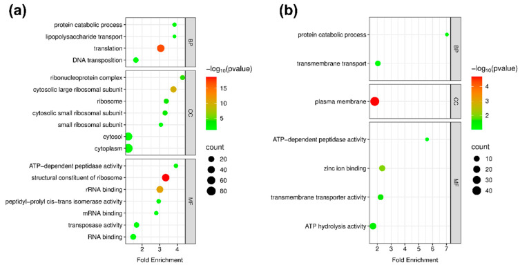 Unraveling the Central Role of Global Regulator PprI in <i>Deinococcus radiodurans</i> Through Label-Free Quantitative Proteomics.
