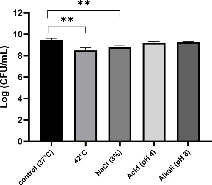 Environmental Stress on <i>Limosilactobacillus fermentum</i> JNU532's Cellular Characteristics and Fatty Acid Profile.
