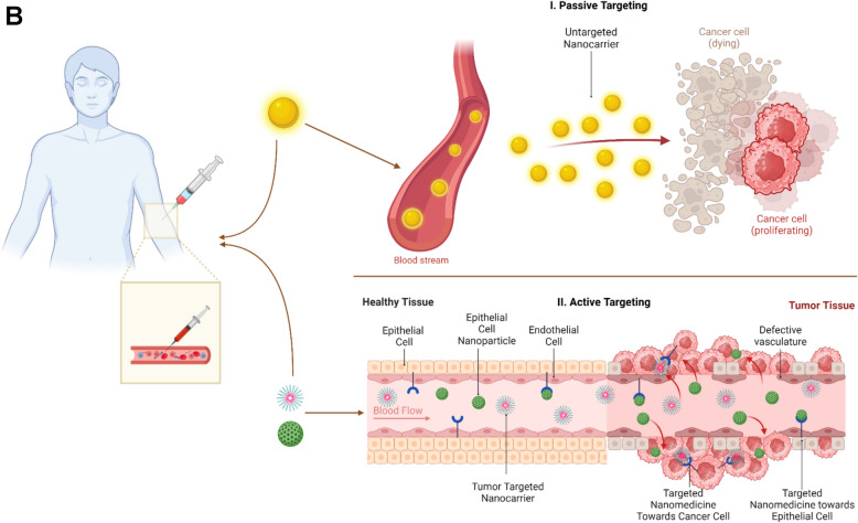 Developments in nanotechnology approaches for the treatment of solid tumors.