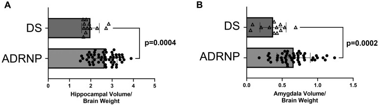 Correlating hippocampal and amygdala volumes with neuropathological burden in Down syndrome and Alzheimer's disease and related neurodegenerative pathologies using 7T postmortem MRI.