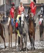 The Effect of Victory and Defeat on the Correlations of Stress Parameters Between the Horse and Rider in Kök-Börü Equestrian Teams.