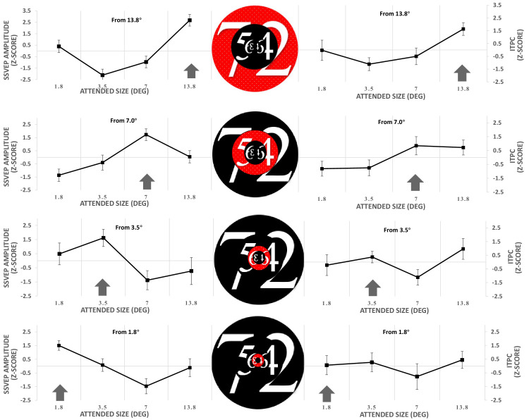 Adaptive focus: Investigating size tuning in visual attention using SSVEP.