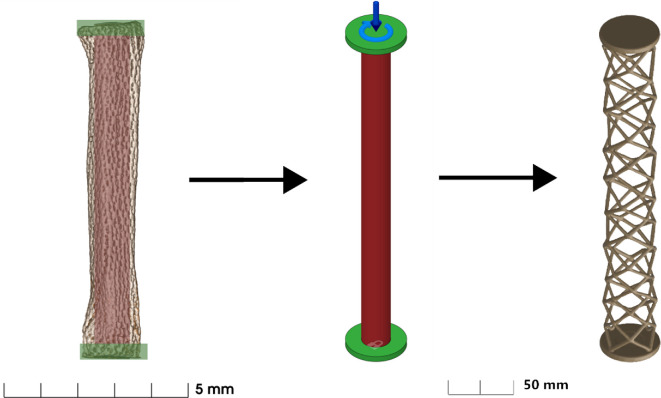 Generative design as a tool to analyse the uncertain loading regimes of intricate skeletal structures.
