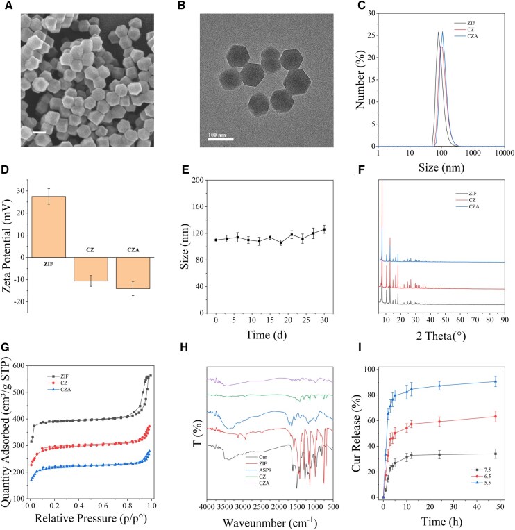 An acid-responsive bone-targeting nanoplatform loaded with curcumin balances osteogenic and osteoclastic functions.