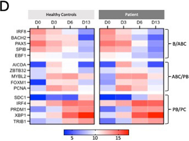 Correction to: Inherited CD19 Deficiency Does Not Impair Plasma Cell Formation or Response to CXCL12.