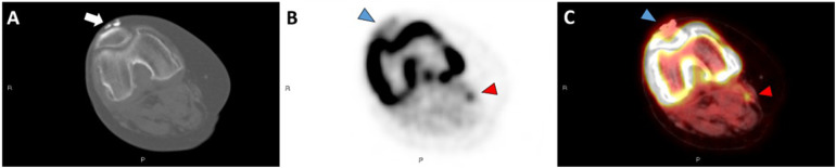 Abstract Image
