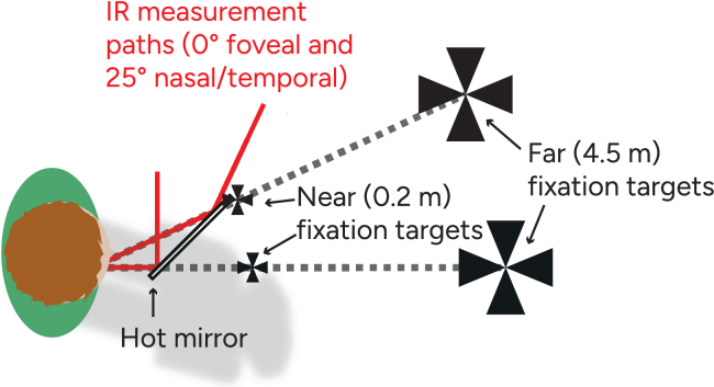 Relative peripheral refraction with accommodation in 6- to 11-year-olds: baseline findings from the Stockholm Myopia Study.