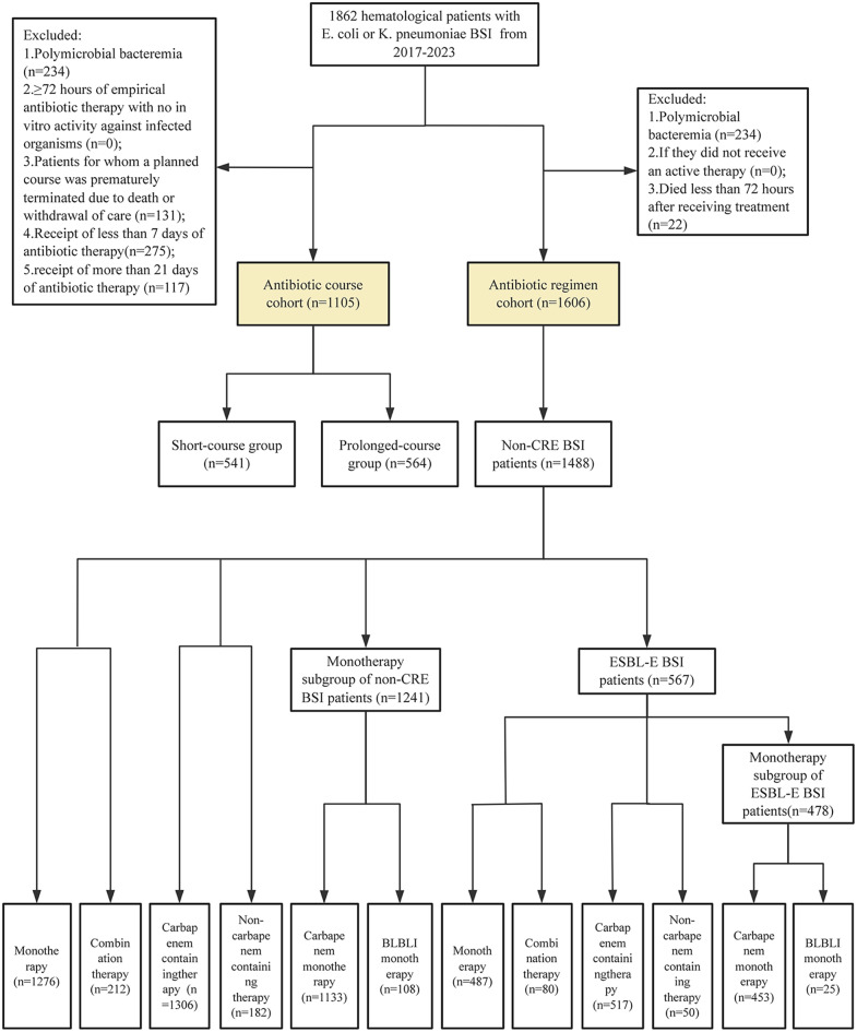 Antibiotic stewardship in hematological patients with Escherichia coli and Klebsiella pneumoniae bloodstream infections: evaluating short-course and carbapenem-sparing strategies.