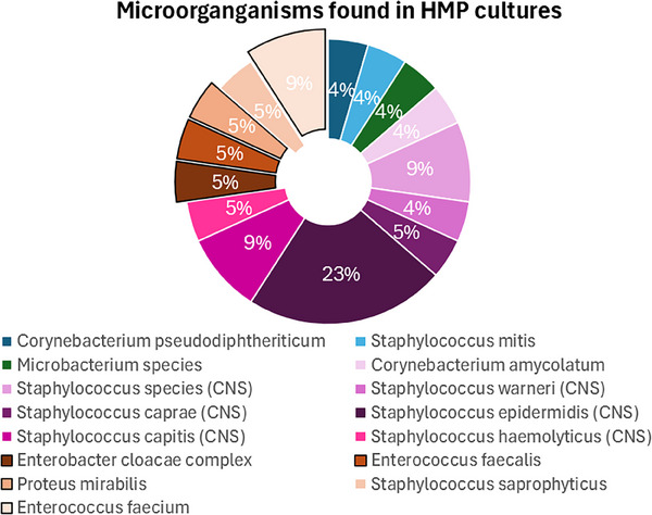Limited Risk of Microbial Contamination During Hypothermic and Normothermic Machine Perfusion of Donor Kidneys.