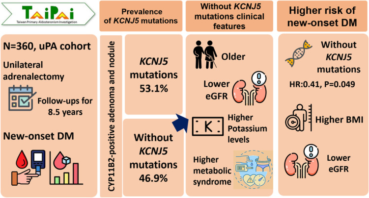 Unilateral Primary Aldosteronism Lacking KCNJ5 Somatic Mutations Is Associated With an Elevated Risk of New-Onset Diabetes.