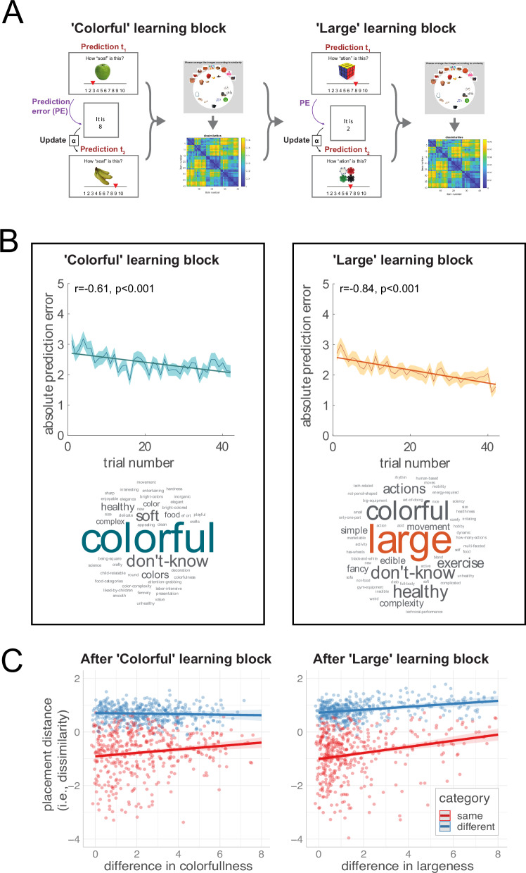 Feature identification learning both shapes and is shaped by spatial object-similarity representations.