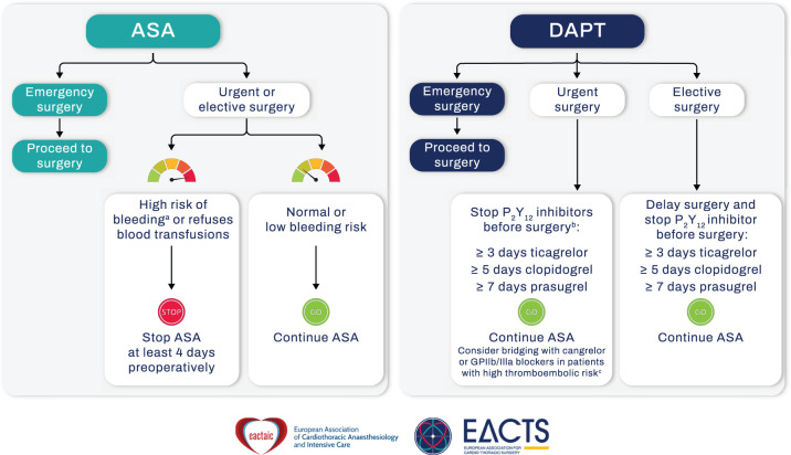 2024 EACTS/EACTAIC Guidelines on patient blood management in adult cardiac surgery in collaboration with EBCP.