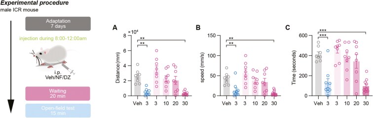 Sedative and hypnotic effects of nuciferine: enhancing rodent sleep via serotonergic system modulation.