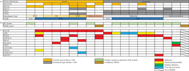 Clinicopathological and Genetic Features in Superficial Nonampullary Duodenal Epithelial Tumors.