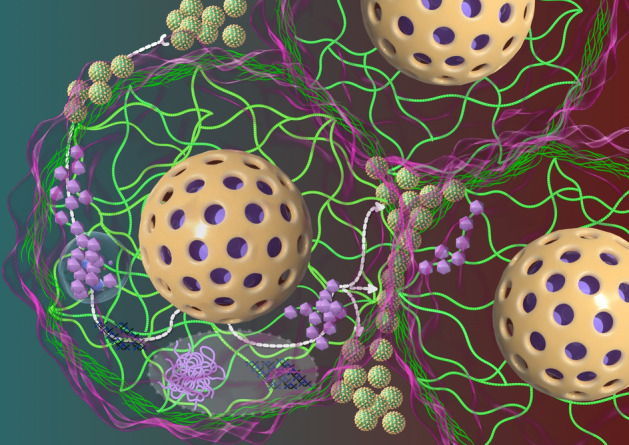 Rho-GTPases subfamily: cellular defectors orchestrating viral infection.