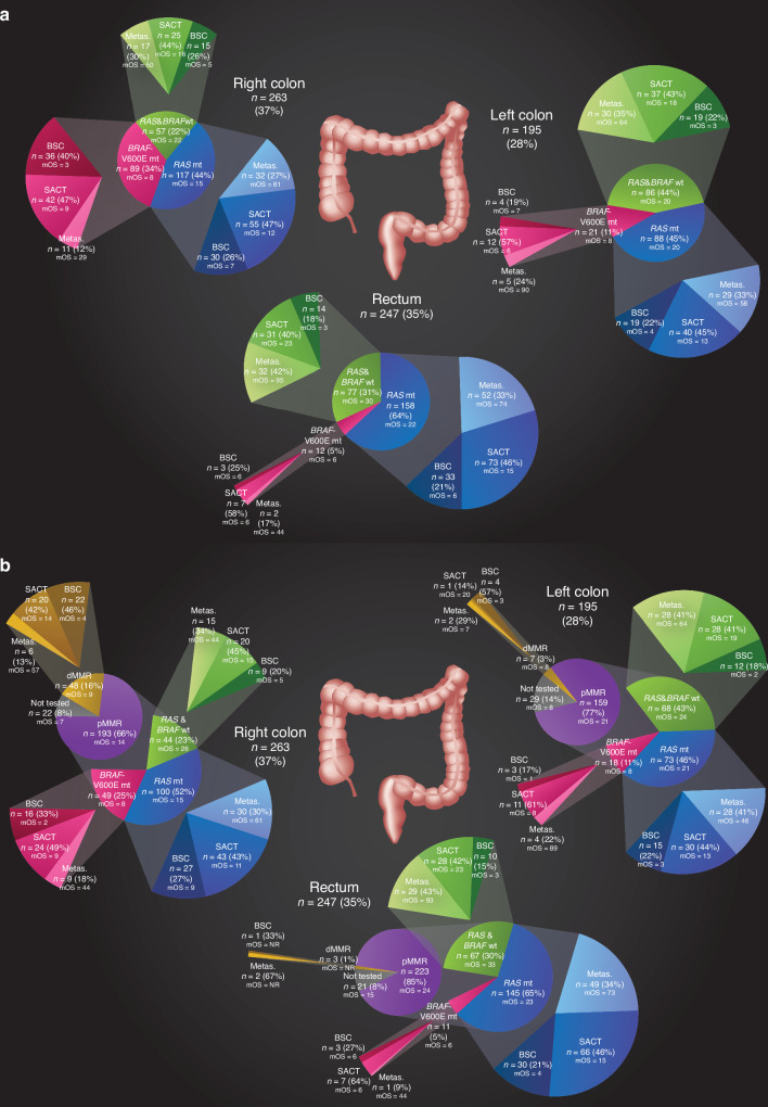 Primary tumour location, molecular alterations, treatments, and outcome in a population-based metastatic colorectal cancer cohort.