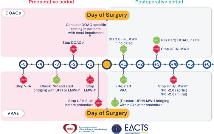 2024 EACTS/EACTAIC Guidelines on patient blood management in adult cardiac surgery in collaboration with EBCP.