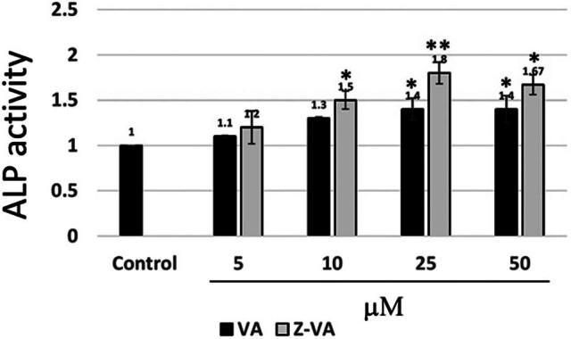 Zinc valproic acid complex promotes osteoblast differentiation and exhibits anti-osteoporotic potential.