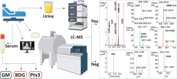 Detection of Siderophores as a Superior Noninvasive Diagnostic Tool in Unraveling Mixed Fungal Infections.