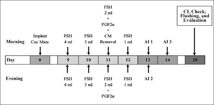 A comparative study of intramuscular versus epidural administration of follicle-stimulating hormone for embryo production in Wagyu Cattle.