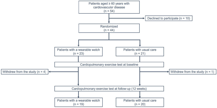 Integration of Wearables Into a Cardiac Rehabilitation Program and Its Impact on Physical Activity and Exercise Capacity in Older Patients With Cardiovascular Disease.