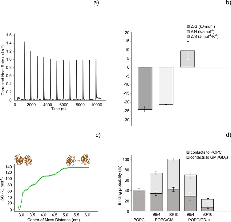Unraveling the GM<sub>1</sub> Specificity of Galectin‑1 Binding to Lipid Membranes.