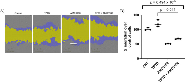 CXCR4 is a response gene for parathyroid hormone which affects osteoblast and osteoclast function in vitro.