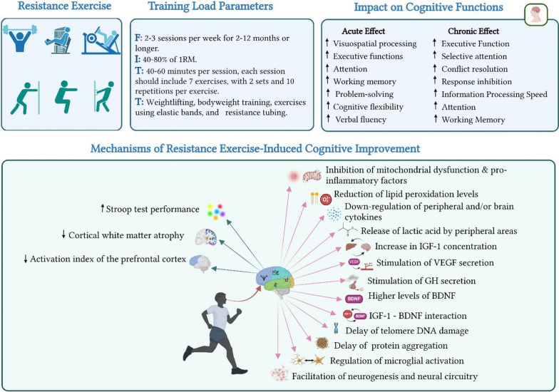 Physical Activity to Counter Age-Related Cognitive Decline: Benefits of Aerobic, Resistance, and Combined Training-A Narrative Review.