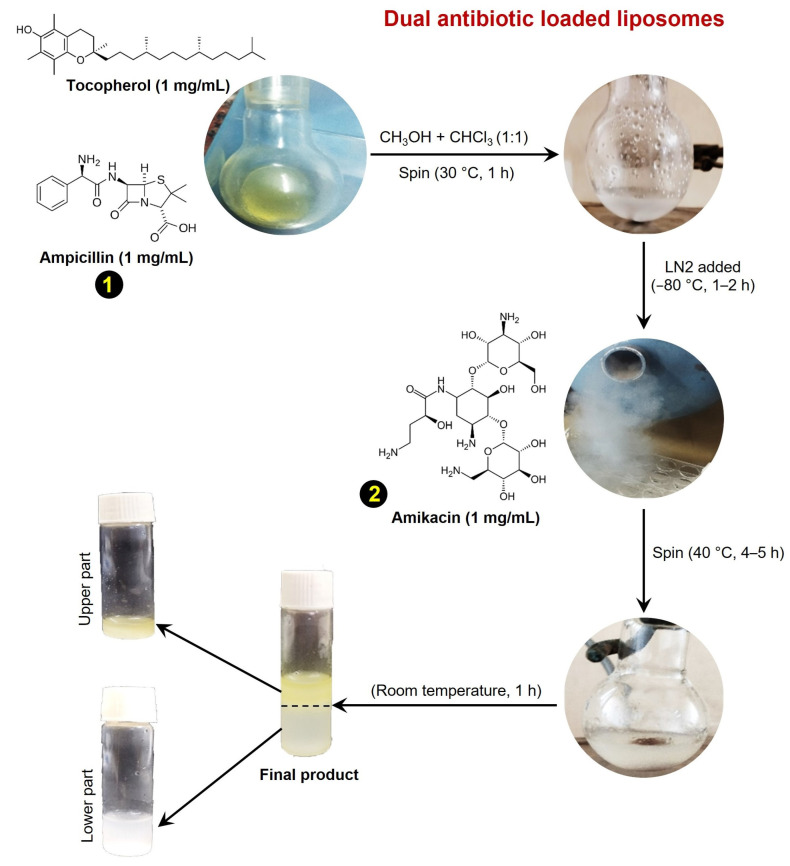 Dual Antibiotic-Infused Liposomes to Control Methicillin-Resistant <i>Staphylococcus aureus</i>.