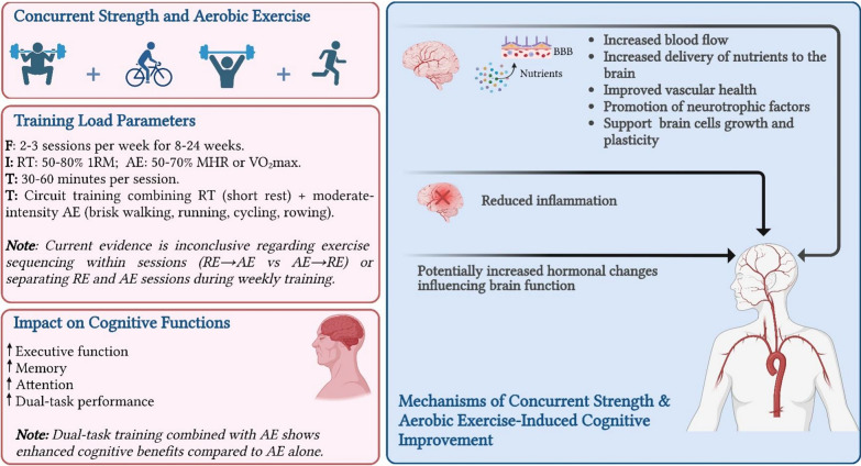 Physical Activity to Counter Age-Related Cognitive Decline: Benefits of Aerobic, Resistance, and Combined Training-A Narrative Review.