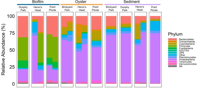 Combinatorial characterization of bacterial taxa-driven differences in the microbiome of oyster beds.