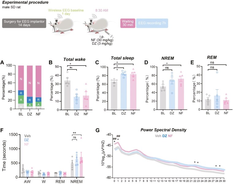 Sedative and hypnotic effects of nuciferine: enhancing rodent sleep via serotonergic system modulation.