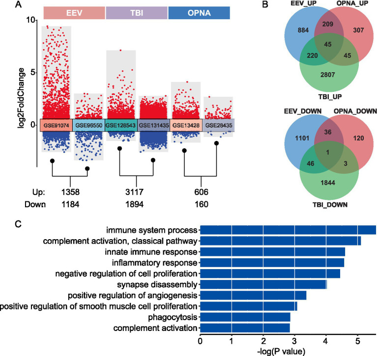 Machine learning identifies genes linked to neurological disorders induced by equine encephalitis viruses, traumatic brain injuries, and organophosphorus nerve agents.