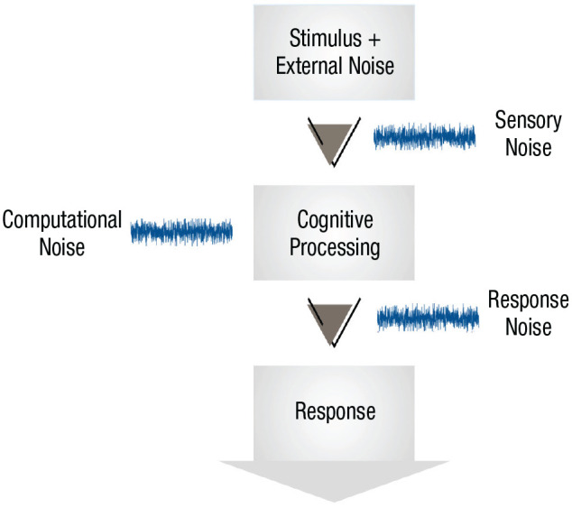 Noise in Cognition: Bug or Feature?